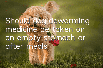 Should dog deworming medicine be taken on an empty stomach or after meals?