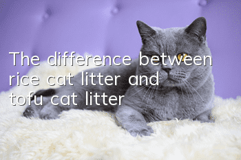 The difference between rice cat litter and tofu cat litter