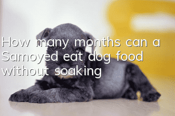 How many months can a Samoyed eat dog food without soaking?