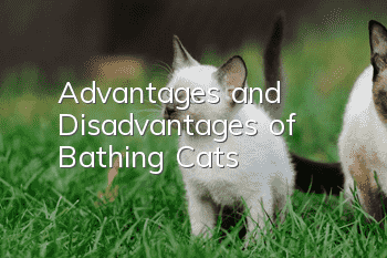 Advantages and Disadvantages of Bathing Cats