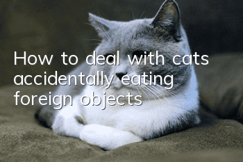 How to deal with cats accidentally eating foreign objects