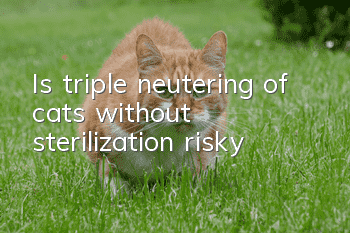 Is triple neutering of cats without sterilization risky?