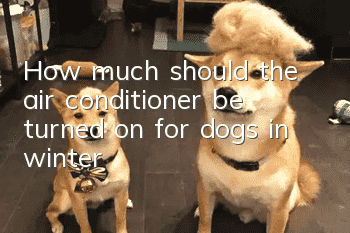 How much should the air conditioner be turned on for dogs in winter?