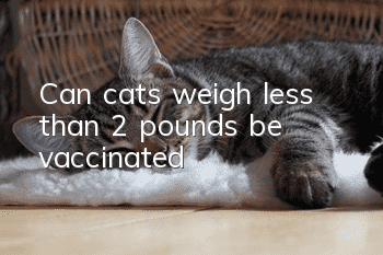 Can cats weigh less than 2 pounds be vaccinated?