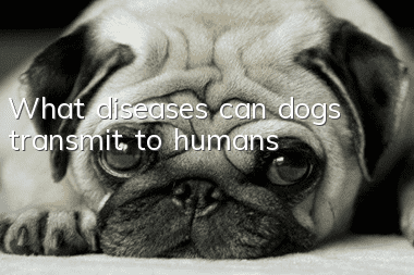 What diseases can dogs transmit to humans?