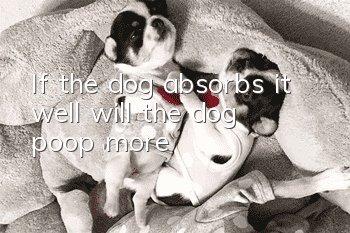 If the dog absorbs it well, will the dog poop more?