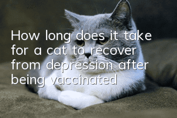 How long does it take for a cat to recover from depression after being vaccinated?