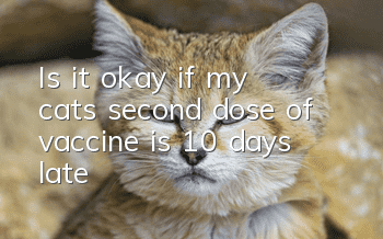 Is it okay if my cat’s second dose of vaccine is 10 days late?