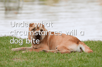 Under what circumstances will a dog bite?