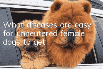 What diseases are easy for unneutered female dogs to get?