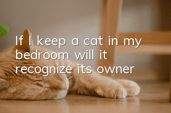 If I keep a cat in my bedroom, will it recognize its owner?