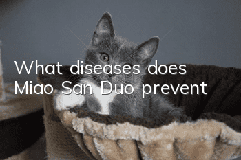 What diseases does Miao San Duo prevent?