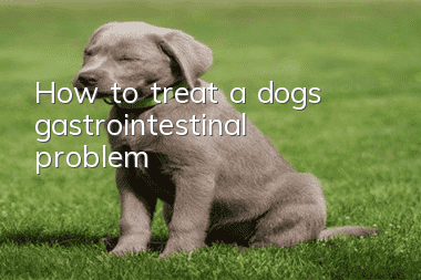 How to treat a dog’s gastrointestinal problem