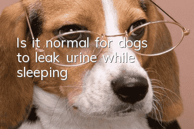 Is it normal for dogs to leak urine while sleeping?
