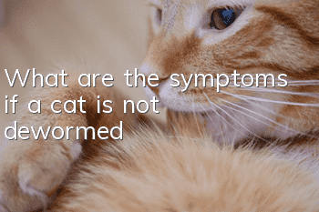 What are the symptoms if a cat is not dewormed?