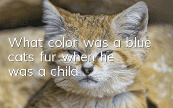 What color was a blue cat's fur when he was a child?