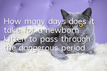 How many days does it take for a newborn kitten to pass through the dangerous period?