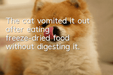 The cat vomited it out after eating freeze-dried food without digesting it.