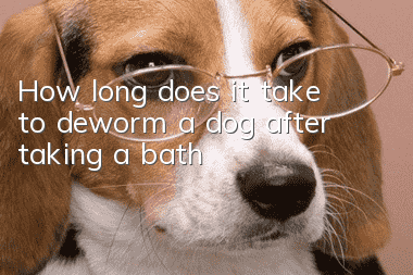 How long does it take to deworm a dog after taking a bath?