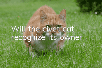 Will the civet cat recognize its owner?