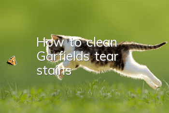 How to clean Garfield’s tear stains