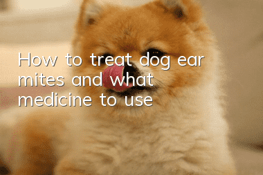 How to treat dog ear mites and what medicine to use