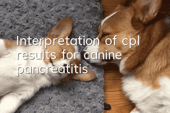 Interpretation of cpl results for canine pancreatitis