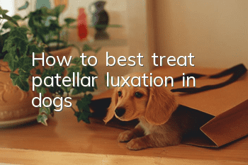 How to best treat patellar luxation in dogs