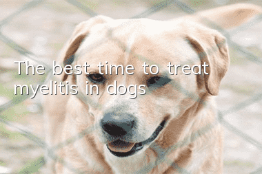 The best time to treat myelitis in dogs