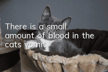 There is a small amount of blood in the cat's vomit
