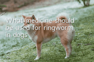 What medicine should be used for ringworm in dogs?