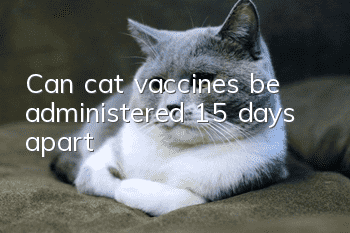 Can cat vaccines be administered 15 days apart?