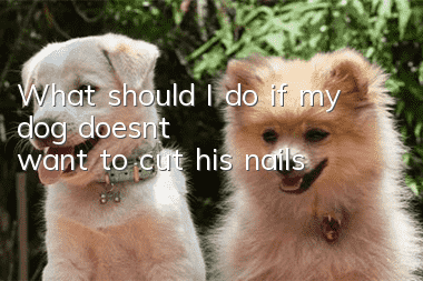 What should I do if my dog doesn’t want to cut his nails?