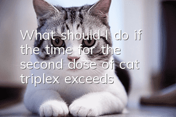 What should I do if the time for the second dose of cat triplex exceeds?