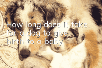 How long does it take for a dog to give birth to a baby?