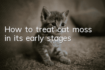 How to treat cat moss in its early stages