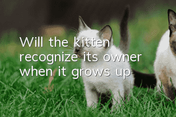 Will the kitten recognize its owner when it grows up?