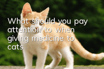What should you pay attention to when giving medicine to cats?