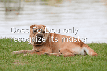 Does Fa Dou only recognize its master?