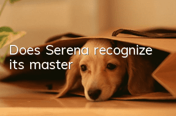 Does Serena recognize its master?