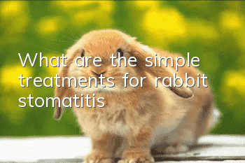 What are the simple treatments for rabbit stomatitis?