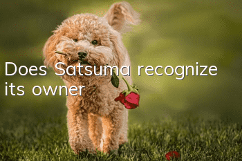 Does Satsuma recognize its owner?
