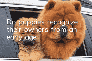 Do puppies recognize their owners from an early age?