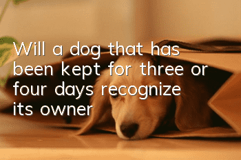 Will a dog that has been kept for three or four days recognize its owner?