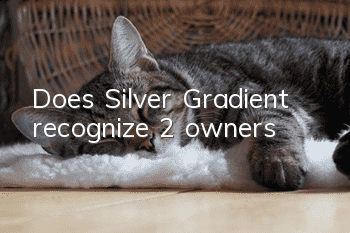 Does Silver Gradient recognize 2 owners?