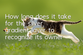 How long does it take for the silver gradient layer to recognize its owner?