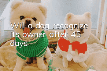 Will a dog recognize its owner after 45 days?