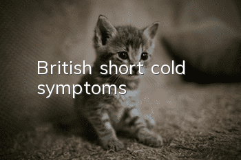 British short cold symptoms