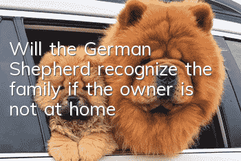 Will the German Shepherd recognize the family if the owner is not at home?