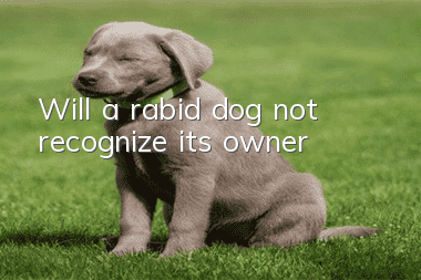 Will a rabid dog not recognize its owner?